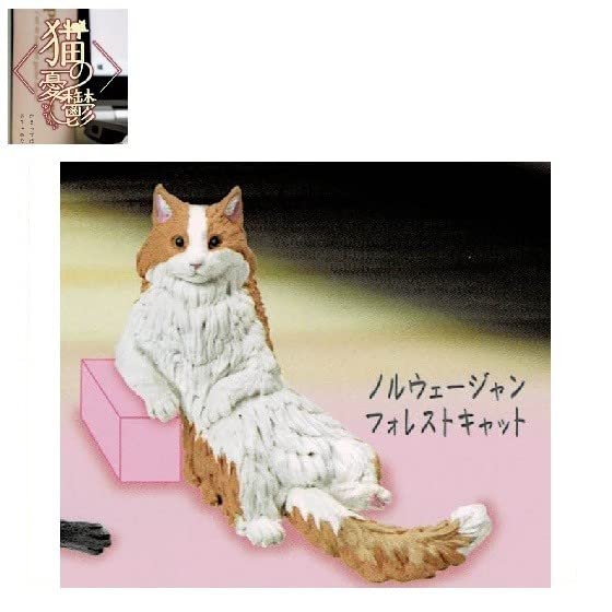 Amazon.co.jp: 猫の憂鬱 「ノルウェージャンフォレストキャット